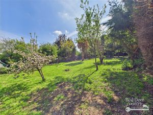 Garden- click for photo gallery